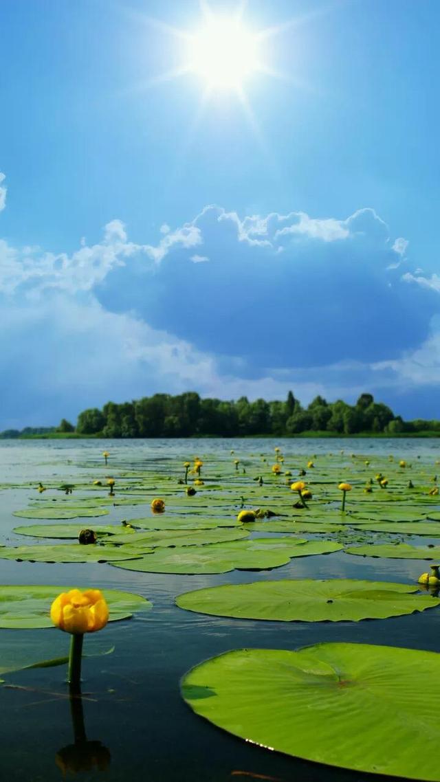 望海潮的钱塘指的是今天的什么地方，钱塘是指今天的什么地方（钱塘是一座城还是一条江）