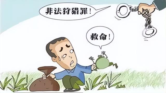 小动物有哪些自我保护的办法，你还知道哪些小动物的自我保护方法（保护野生动植物，从你我做起）