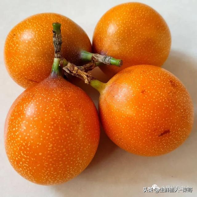 passion fruit是什么水果（土豪百香果，一斤100元）