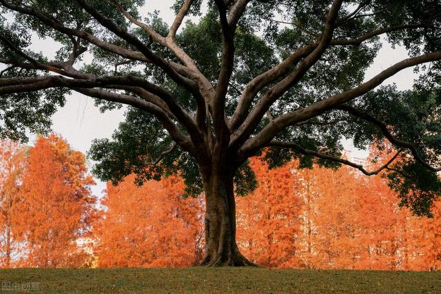 去厦门必去的几个地方，厦门必去的几个景点（这8个好玩又好拍的免费游玩圣地）
