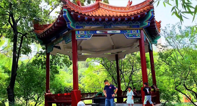 郑州周边免费景点，郑州最近免费旅游景点大全（不出郑州的8个赏花遛娃地）