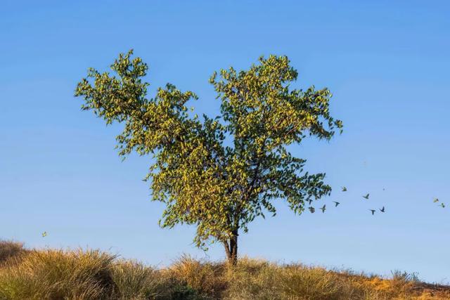 倒过来看很恶心的图，恐怖图片（这些迷惑性超强的错觉照片）