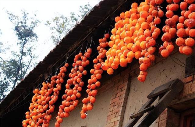 院子里最旺宅的果树有哪些，院子里最旺宅的果树有哪些品种（庭院种六树）