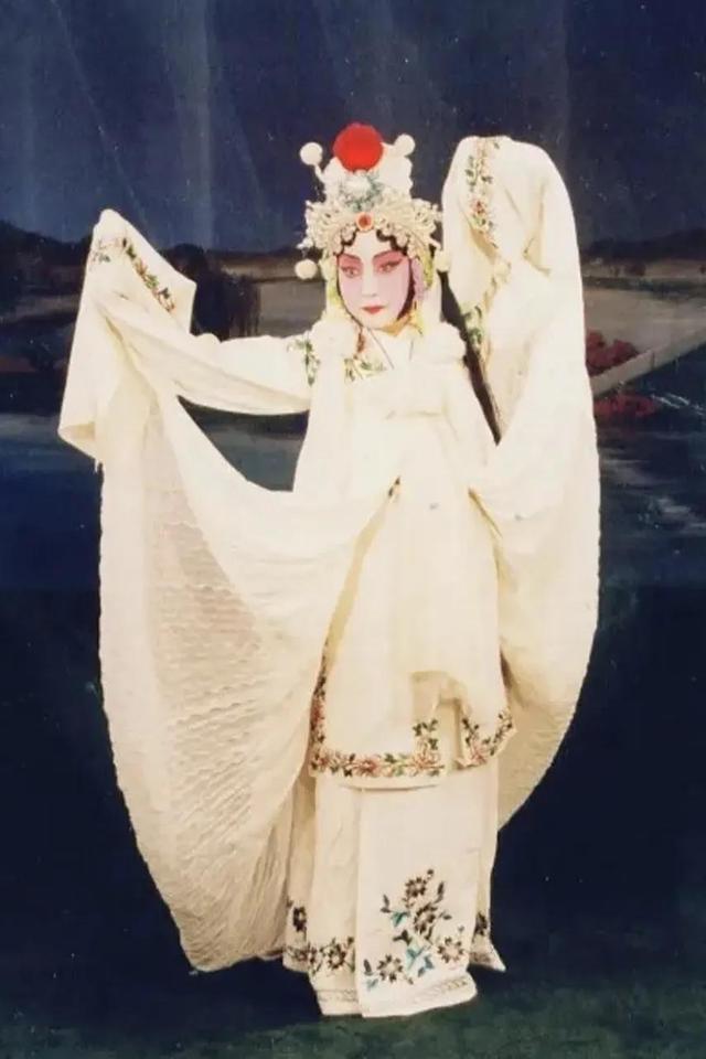 杜近芳现代京剧艺术欣赏，杜近芳“十大名剧”掠影