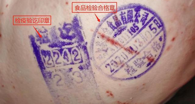 怎样辨别猪脖子肉，怎么辨别猪脖子肉（再喜欢也要谨慎食用；如何鉴别健康的猪肉）