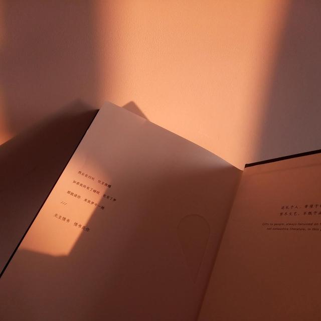 日落在爱情里的寓意，黄昏在爱情里代表什么（再见和日落的寓意都是未完待续）