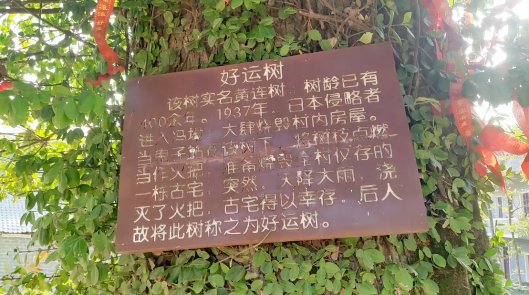 浔阳旅游景点，清凉一夏·追浔季丨九江这12个隐世古村