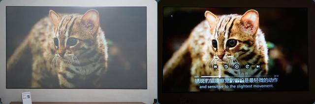 知麻投影z1mini，或许是最适合小青年的千元智能投影仪