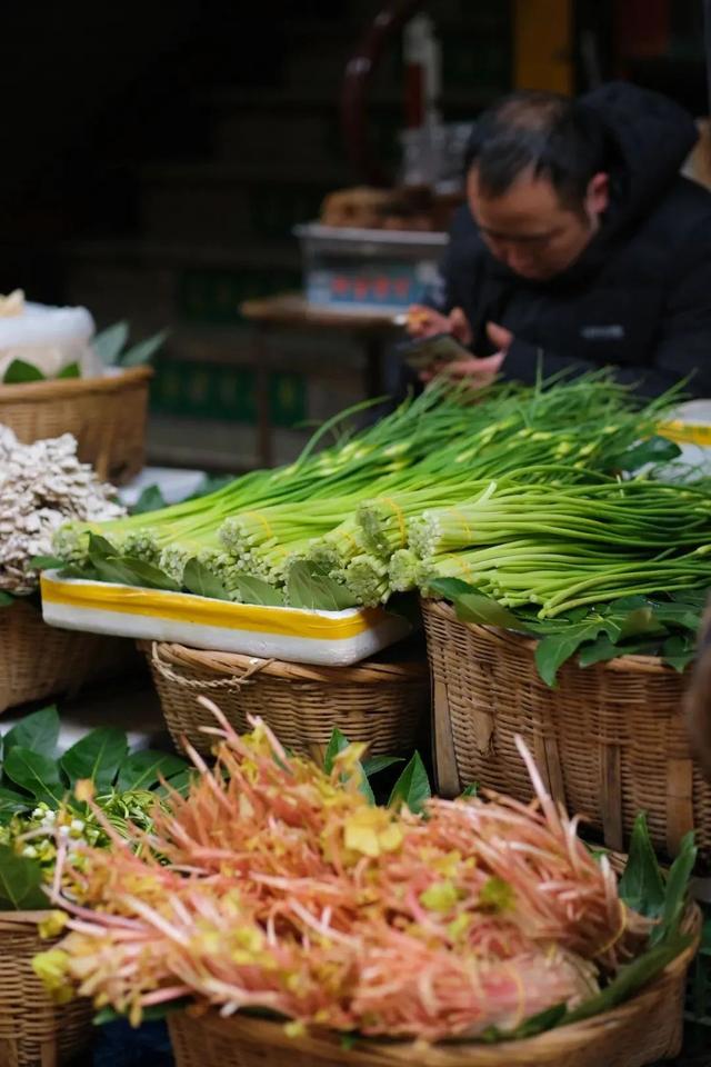 云南最好吃的野生菌在哪，中国最浪漫城市非她莫属
