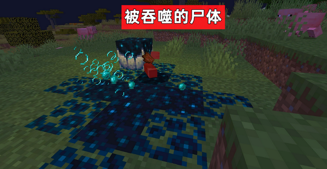 我的世界最强生物，我的世界前五名最强生物（Minecraft游戏理论）