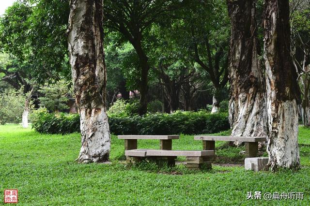 番禺大夫山森林公园，探寻天然氧吧广州大夫山森林公园（大夫山森林公园真的太大了）