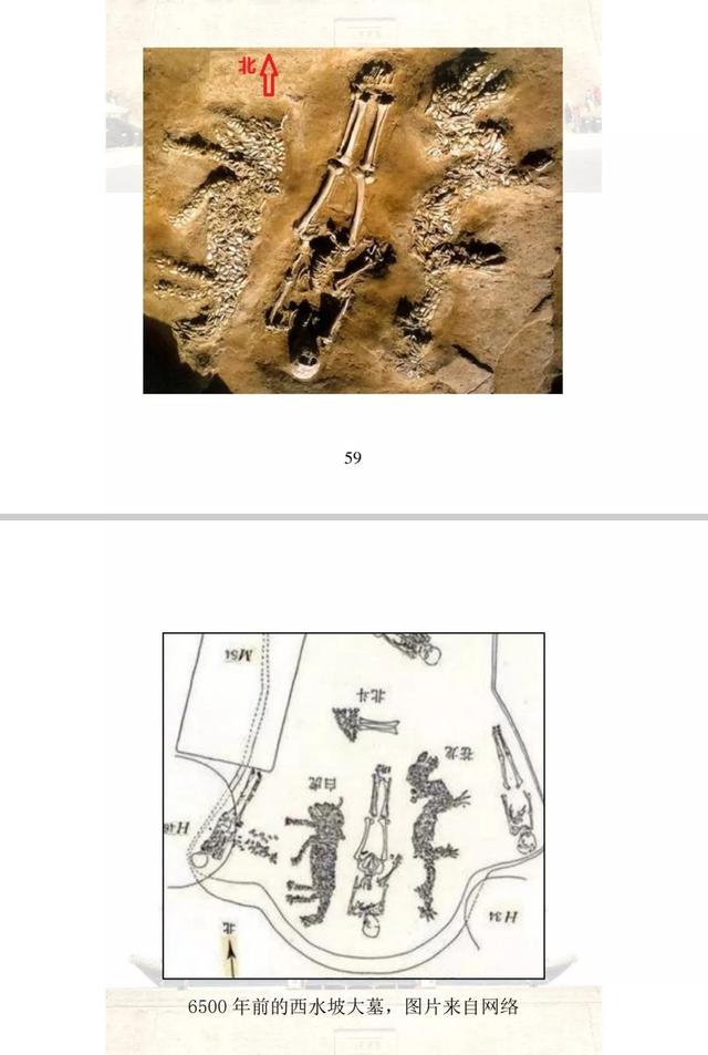 华夏族是指什么民族，中华民族简史