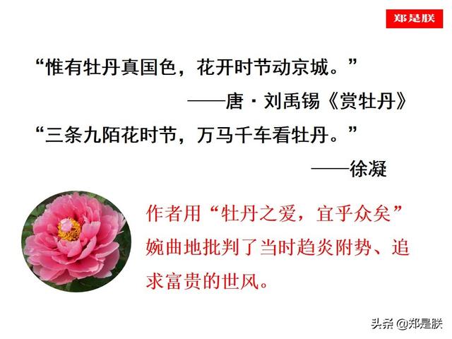 爱莲说原文朗读，爱莲说拼音版原文（部编人教版七年级语文下第17课《爱莲说》周敦颐-诵读+课件）