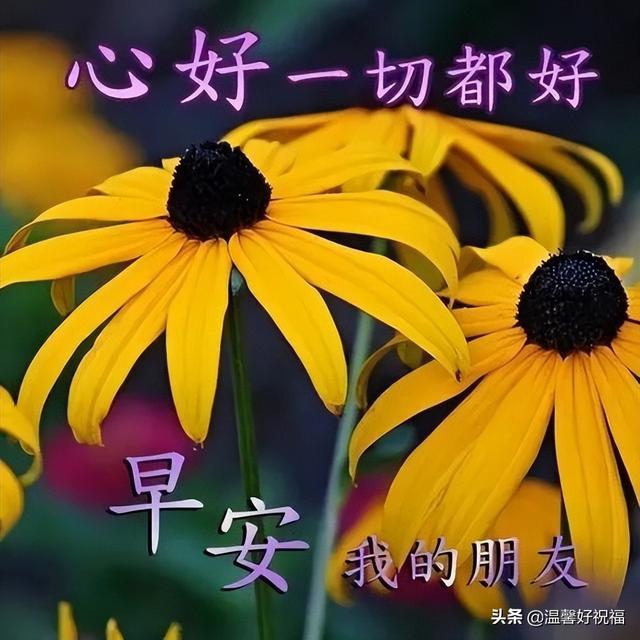 春天早上问候语，春天早上问候语图片（今日最新早上好表情包大全）