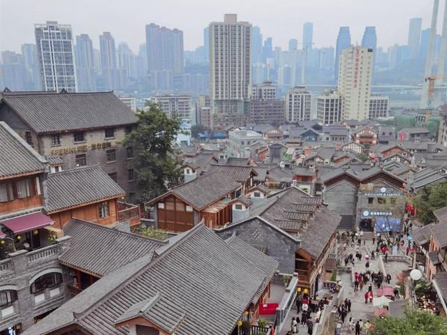 黄葛树（黄葛树简介，重庆最老的市树在江津（黄葛树的介绍）