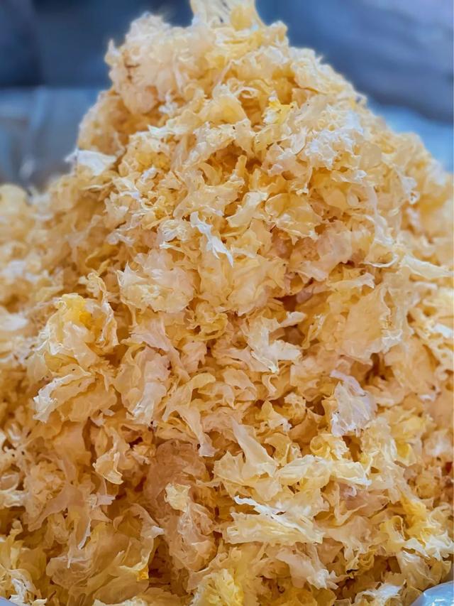 银耳多少钱一斤，黄金银耳的种植前景（盘溪批发市场给的）