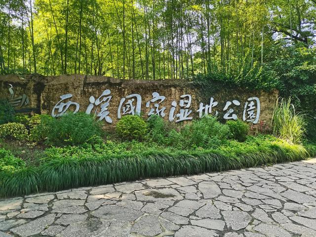 杭州西溪国家湿地一日游