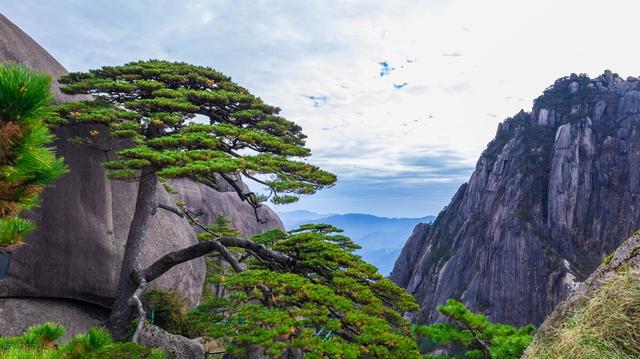牡丹江市有哪些旅游景点免费，清明节哪些景区免费开放