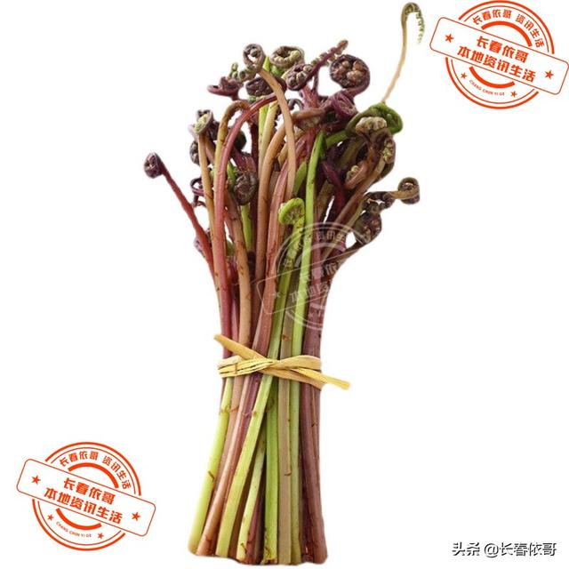 东北野生野菜有哪些，长白山中山野菜——猴子腿