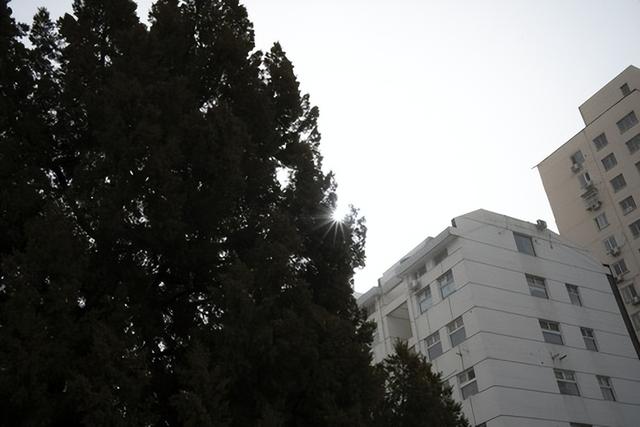 yn是什么牌子，1799元国产全画幅自动对焦镜头