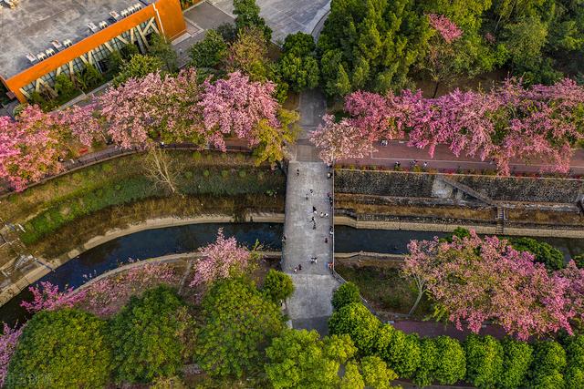 广州大学华软学院(广州大学华软学院陈霖)