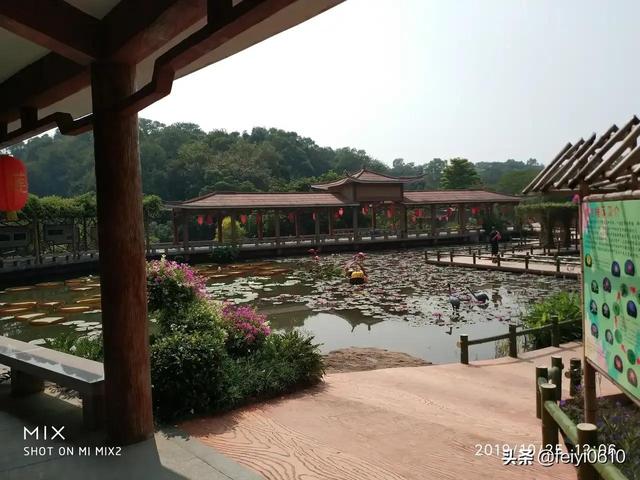 广州莲花山攻略，莲花山旅游攻略（打卡莲花山，你会诗兴大发吗）