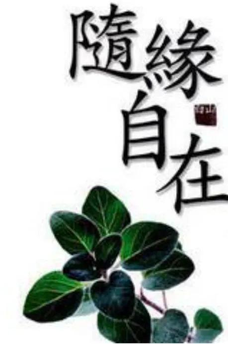 惜缘随缘莫攀缘，缘聚缘散缘深缘浅惜缘随缘莫攀缘（随缘惜缘不攀缘）
