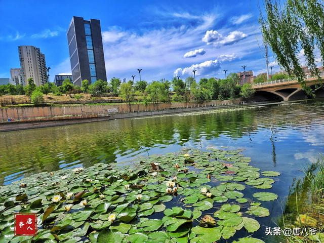 夏天有什么景色，夏天有哪些景色的描写（夏天的美景）