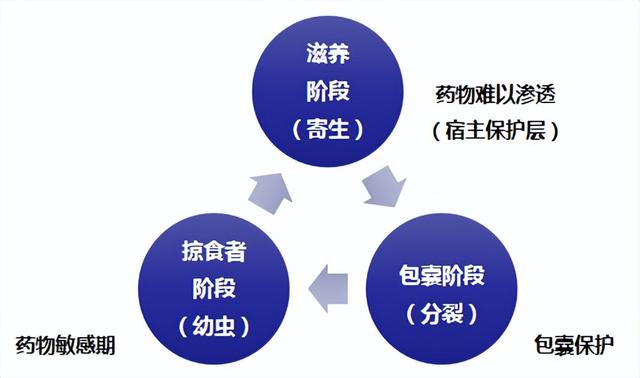 黄骨鱼养殖几个月可以卖，养黄骨鱼包回收是真的吗（源农优品水产助你解决黄颡鱼冬季养殖的问题）