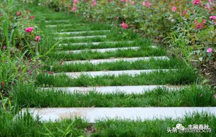 清明节的来历50个字，清明节的由来故事（清明节的渊源、习俗、饮食及假期）