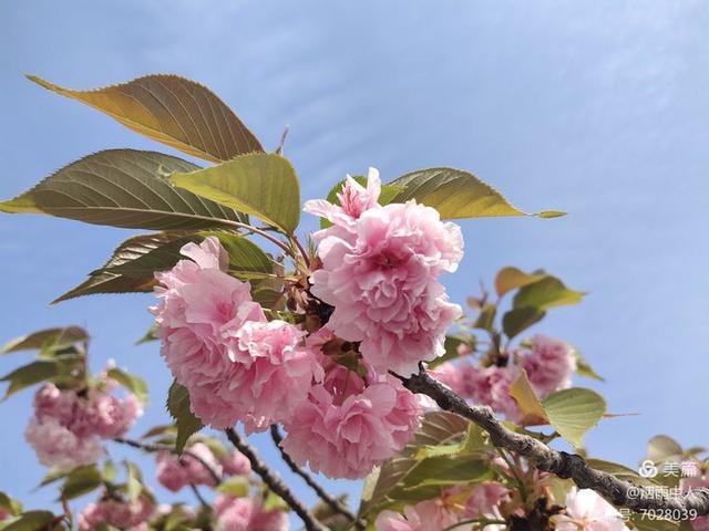 儿童读书日宣传语，幼儿园读书日宣传语（悦读“阅”美——罗圩中心小学小学2022年读书节倡议书）