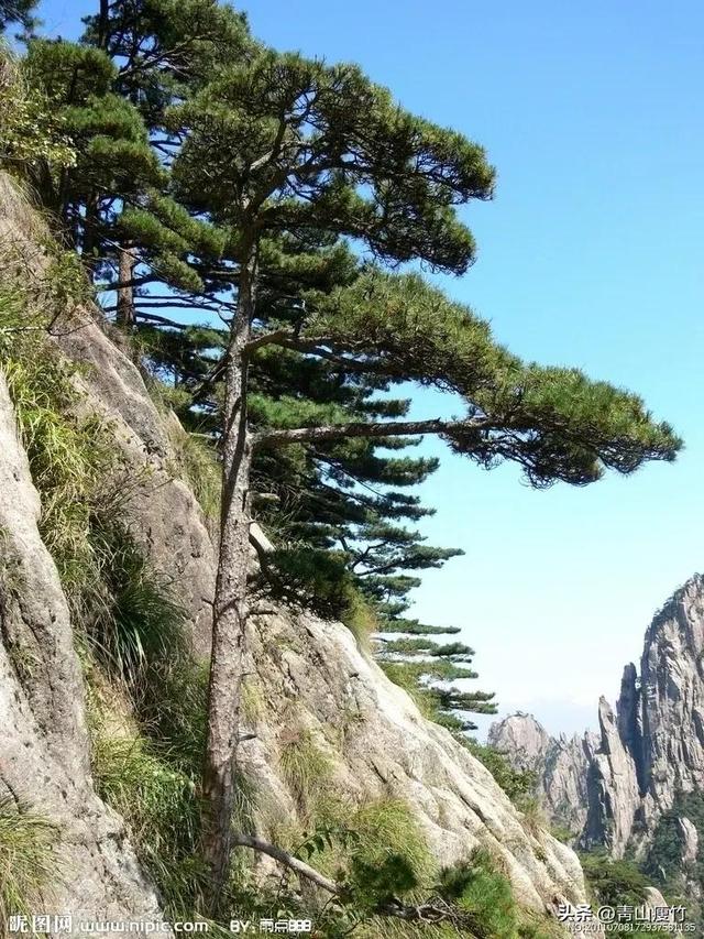 黄山风景摄影图片55幅，欣赏