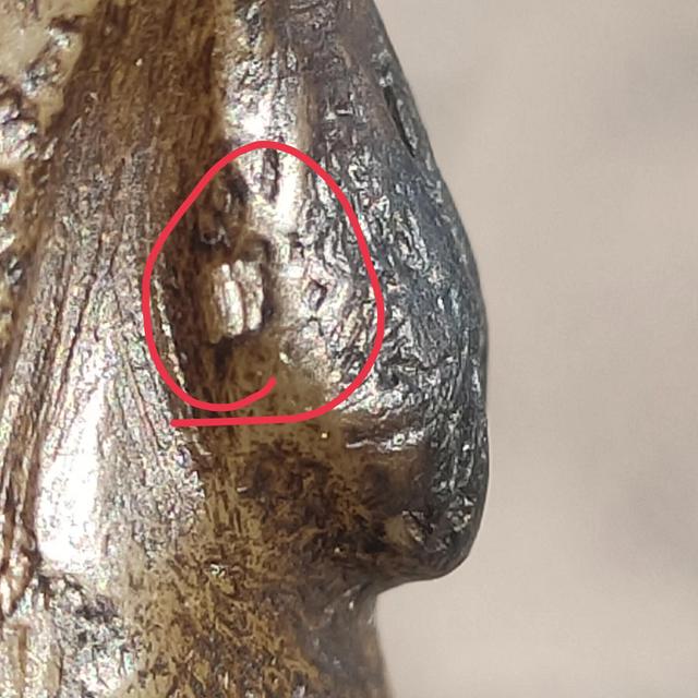 鸡的霸气语录，山鸡霸气语录（替俺的小公鸡辩解两句）