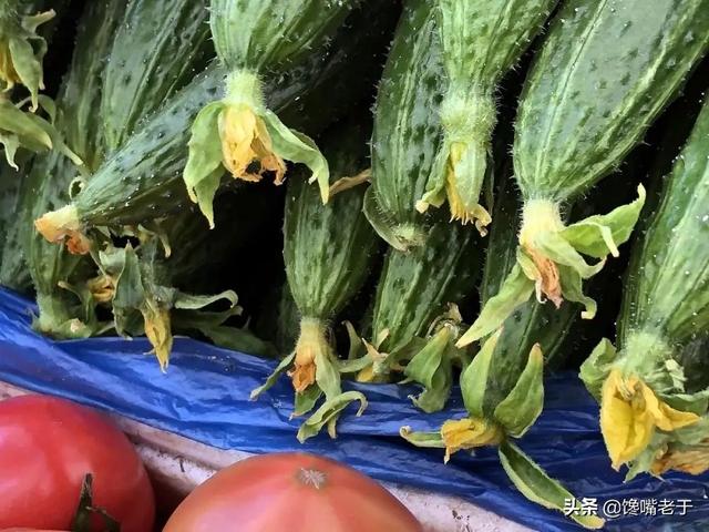 糖拌西红柿又叫什么，糖拌西红柿的别名叫什么（这5种蔬菜尽量少吃）