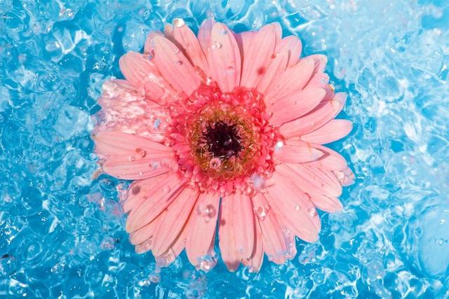 如何简单的检验男的是不是处，如何辨别是不是处男（或要面临这3种后果）