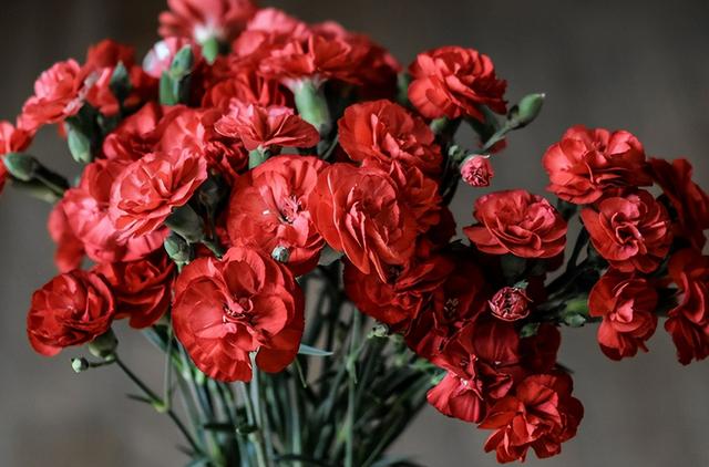 名家散文美句摘抄赏析，名家散文摘抄加批注（朱自清的十条精辟语录）