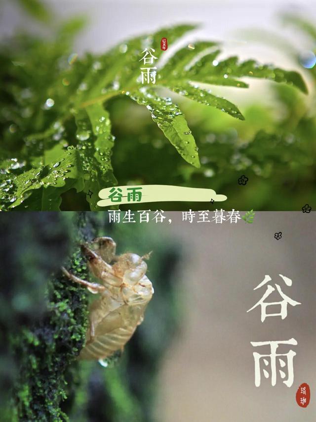 立春雨水惊蛰春分清明谷雨，春雨惊春清谷天有几个节气（春季节气海报合集）