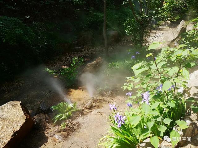 北京西山森林公园，北京西山森林公园登山路线推荐（西山国家森林公园）