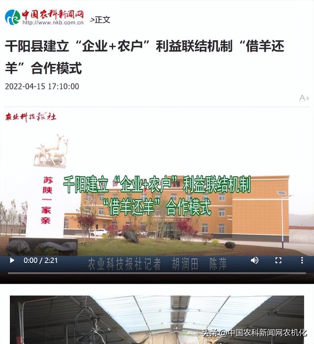 羊奶粉哪个好，羊奶粉哪个好吸收（千阳县莎能奶山羊“借羊还羊”模式带动产业发展）