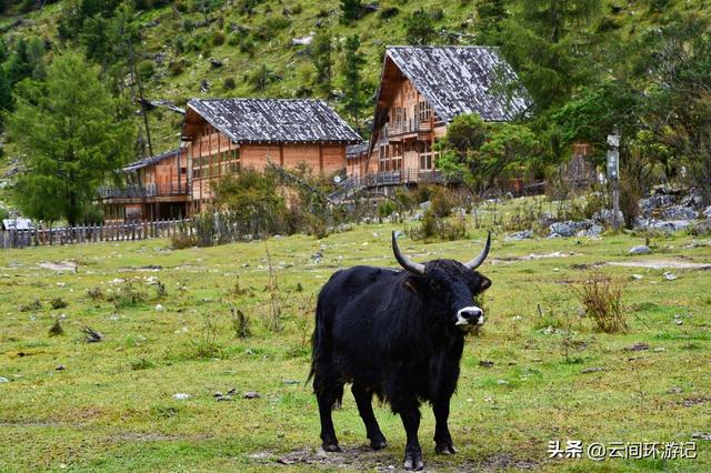 幺妹儿在四川是什么意思，幺妹是什么意思（<四川阿坝>）