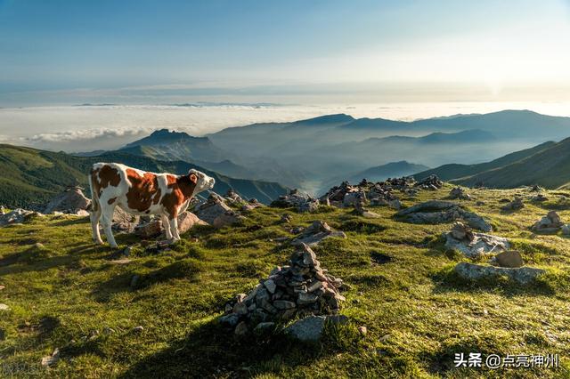 山东名山有哪些，山东名山有哪些景点（专家评出的“中华10大名山”）