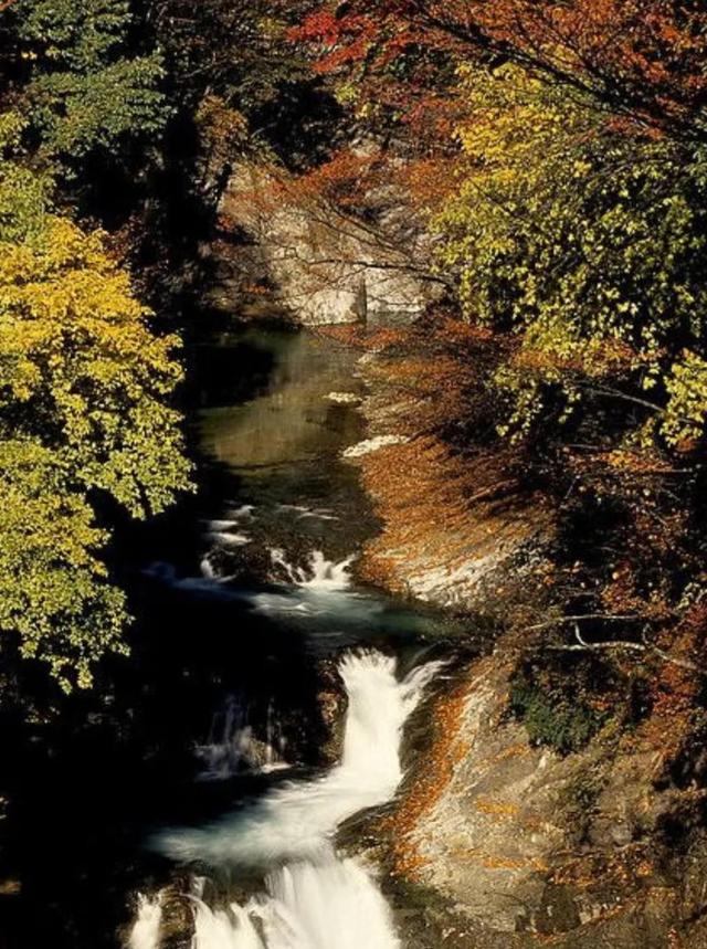 秋天是一个什么样的季节，秋天是一个什么样的季节写一段话（分享绝美秋色：叠翠流金）