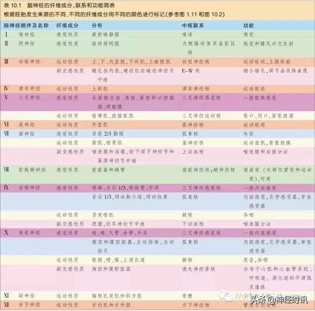 属于膜迷路的结构是，属于膜迷路的结构是蜗管蜗顶（彩图经典版│脑神经和脑神经核解剖）