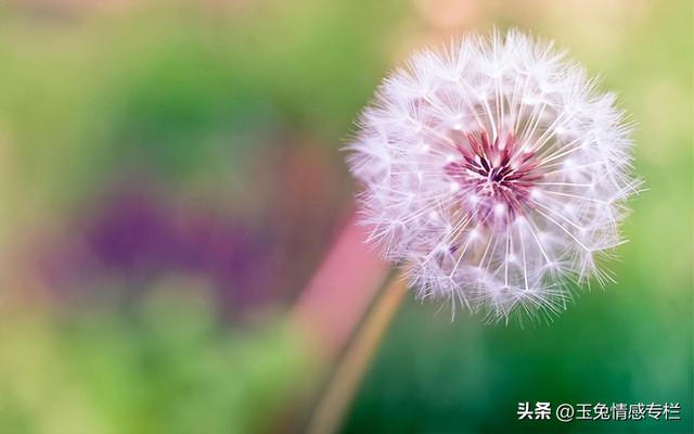 男人没放下前妻的表现，没放下前妻的表现（男人能忍多久不联系前妻）