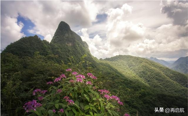 湖北省二本公办大学排名及分数线，2019-2020湖北二本大学排名（2022湖北高校投档线排名）