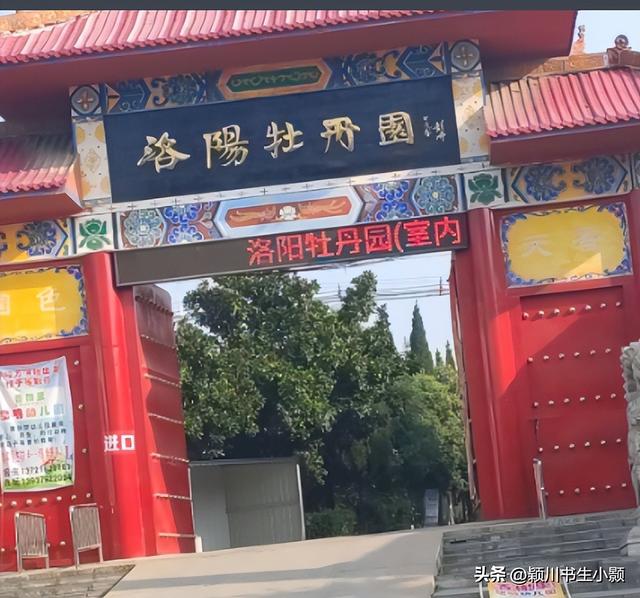 洛阳最值得一看的牡丹园，史上最全的洛阳牡丹观赏园