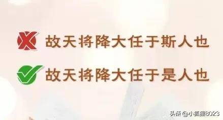 不接受8023是什么网络用语，接受婚检不接受8023是什么意思（“斯人”与“是人”之争是教材问题）
