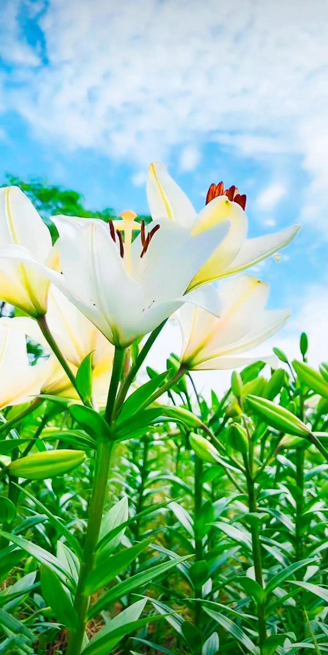 努力的意义是什么，努力的意义是什么图片（女人努力的意义是什么）