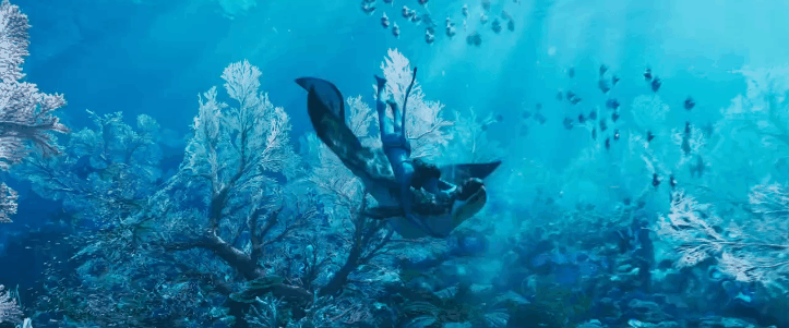 怎么查看附近电影院，怎么查看附近电影院的排影（光明君请你看《阿凡达·水之道》）