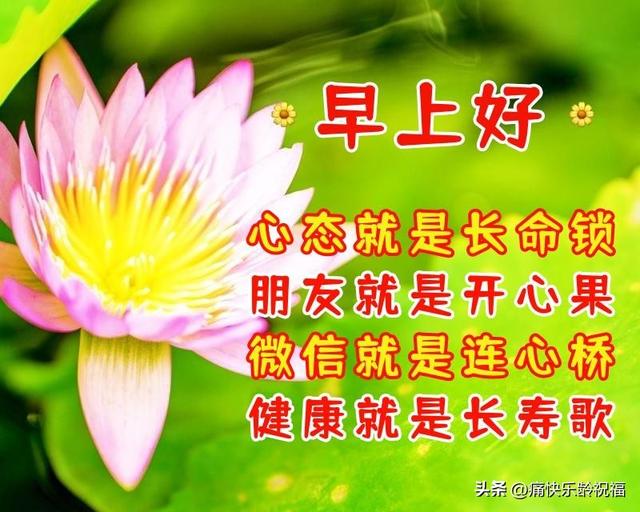 八个字的简短祝福语有哪些，八个字的祝福句子（8月8日周一早晨问好祝福语）